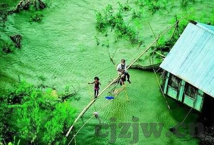 91人妻色-91人妻色，文化、伦理与个人选择的交织