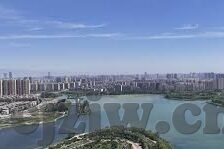 大象传媒91-探索大象传媒91的多元化发展之路