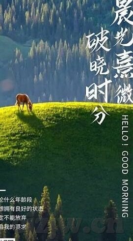 大象传媒免费网站下载-探索大象传媒免费网站下载的多元价值与安全考量