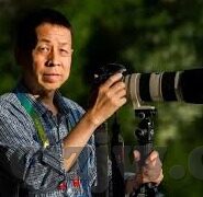 久久91麻豆-探寻多元化内容平台的健康发展路径，聚焦观众需求与内容质量