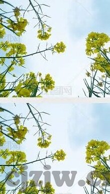 麻豆 91-探寻麻豆91背后的多媒体发展历程