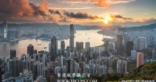 色吊丝2288sds中文字幕-探索网络文化的多元面向，色吊丝2288与中文字幕的背后